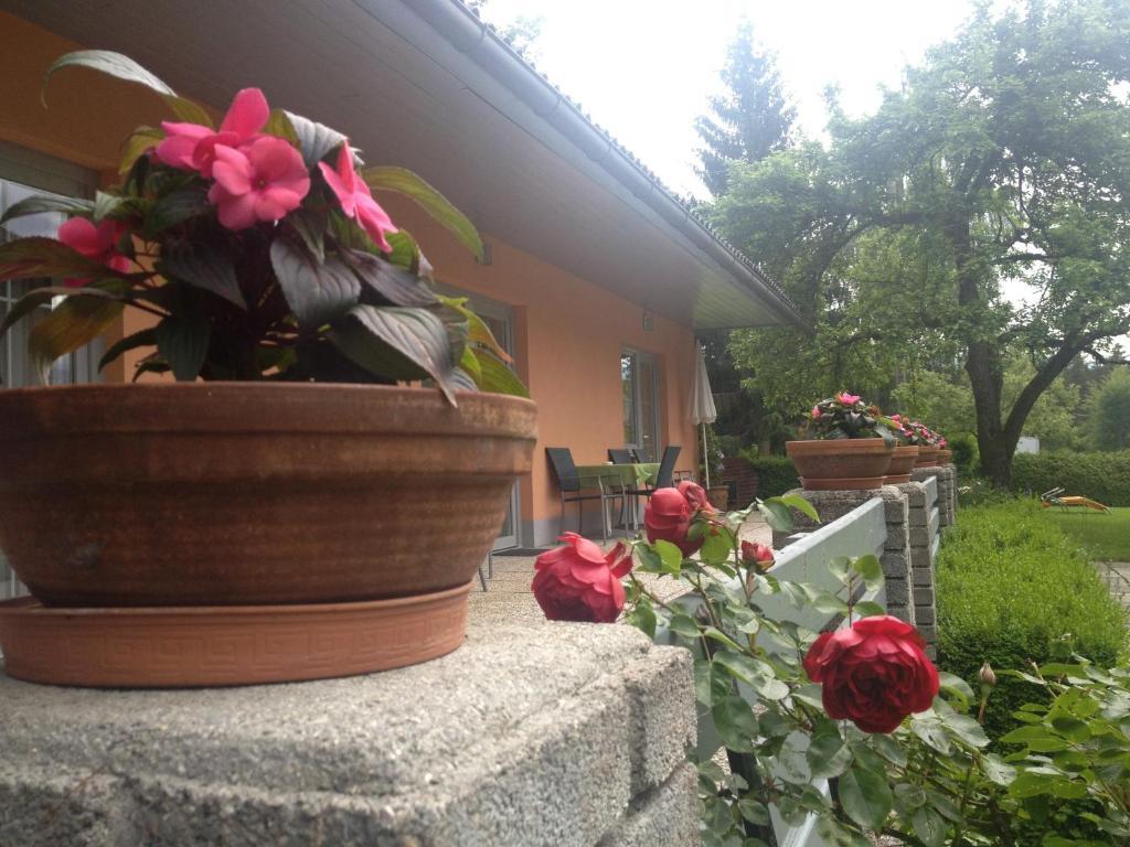 Waldpension Schiefling Am See Schiefling am See Exterior foto
